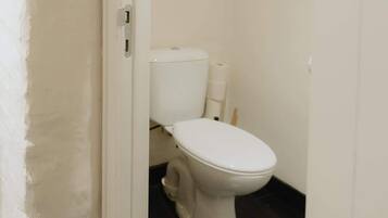 A small, narrow bathroom with a white toilet and a roll of toilet paper on the wall.