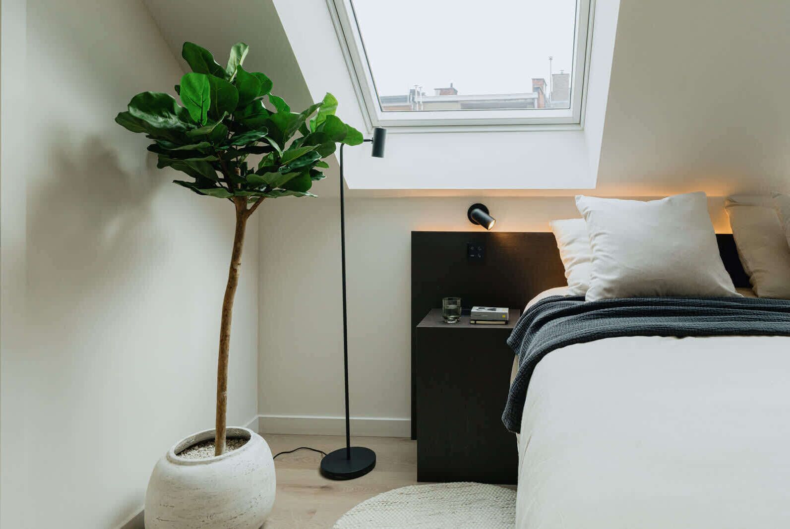 A bedroom with a skylight, a bedside table with a lamp, a potted plant, and a bed with pillows.