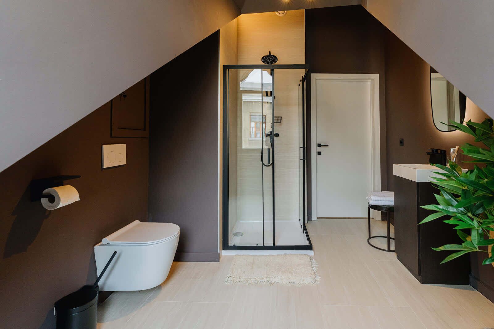 Een douche, een haardroger, handdoeken