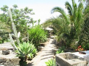 Property grounds - 'Dammuso Gardenia by Interhome (Pantelleria)