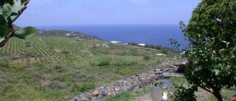 Utsikt fra overnattingsstedet