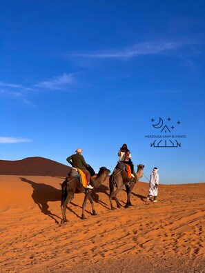 Miscellaneous - Merzouga desert morocco (Merzouga)