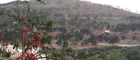 Terrain de lâhĂ©bergement