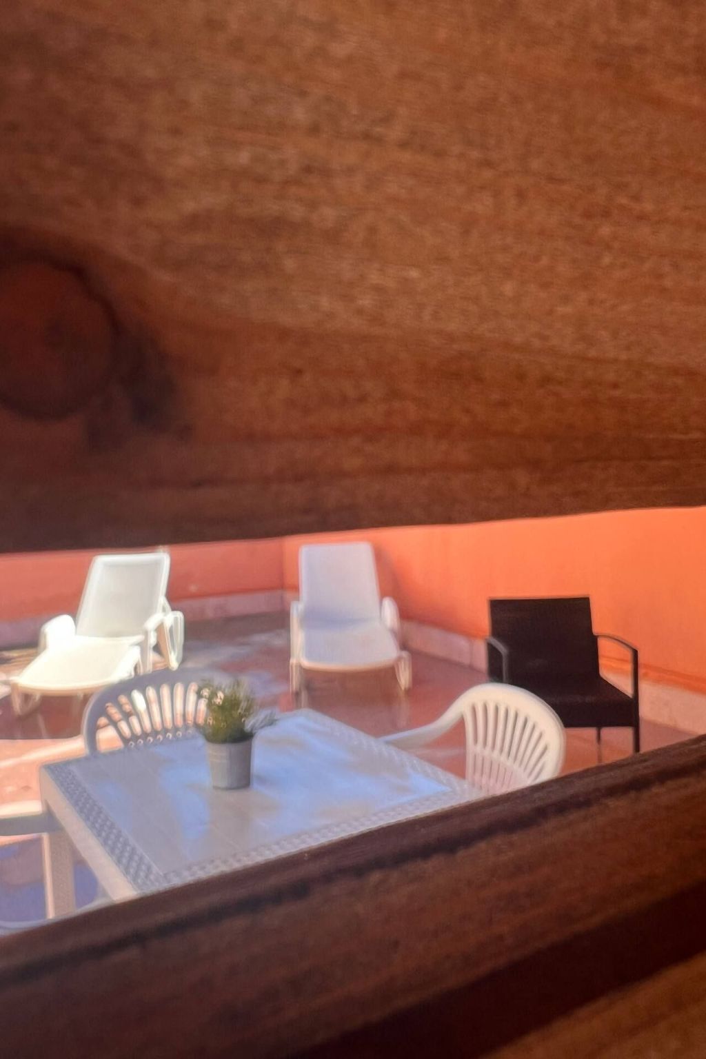 Terraza o patio