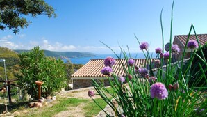 Property grounds - Haus in Torre Dei Corsari mit Privatparkplatz by Interhome (Torre dei Corsari)