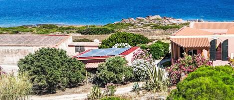 A coastal property with a view of the sea, a garden with various plants, and a building with a red roof.