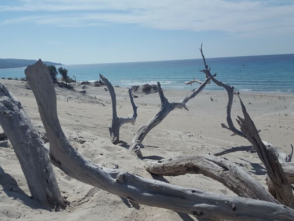 Strand