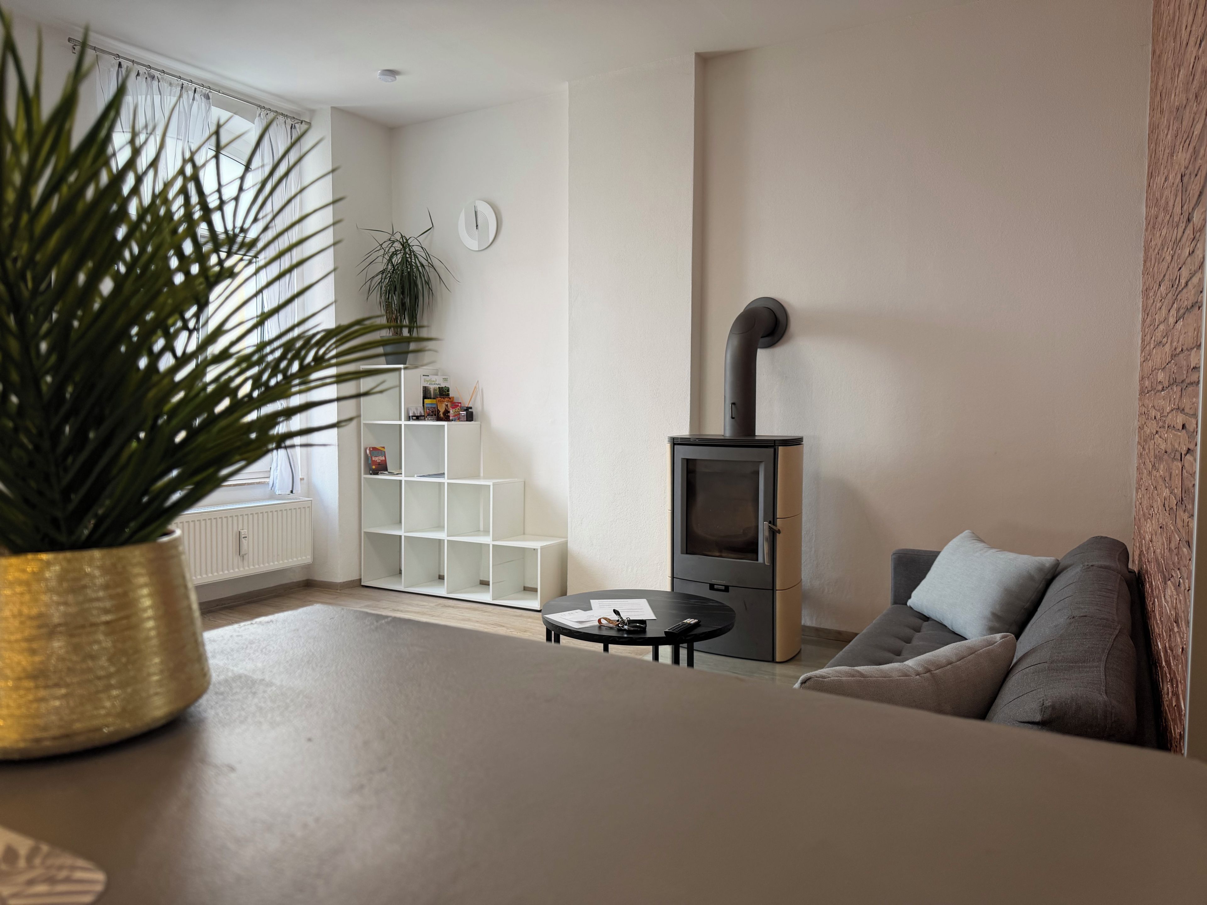 A modern living room with a built-in wood stove, a potted plant, a sofa, and a white shelving unit.