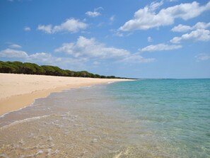 Playa