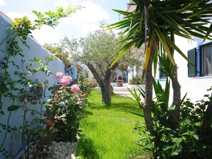 Property grounds - Apartment Uva by Interhome (Cala Liberotto)