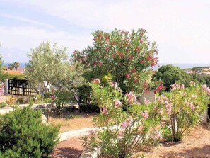 Property grounds - Sa Fiorida - Angela by Interhome (Valledoria)