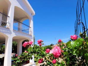 Exterior detail - Solevacanze K mono by Interhome (Valledoria)