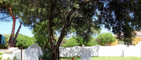 Àrea exterior de l'allotjament