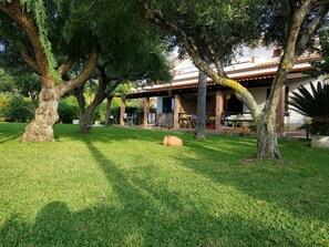 Property grounds - Graziella Wohnung in Capo Vaticano by Interhome (Capo Vaticano)