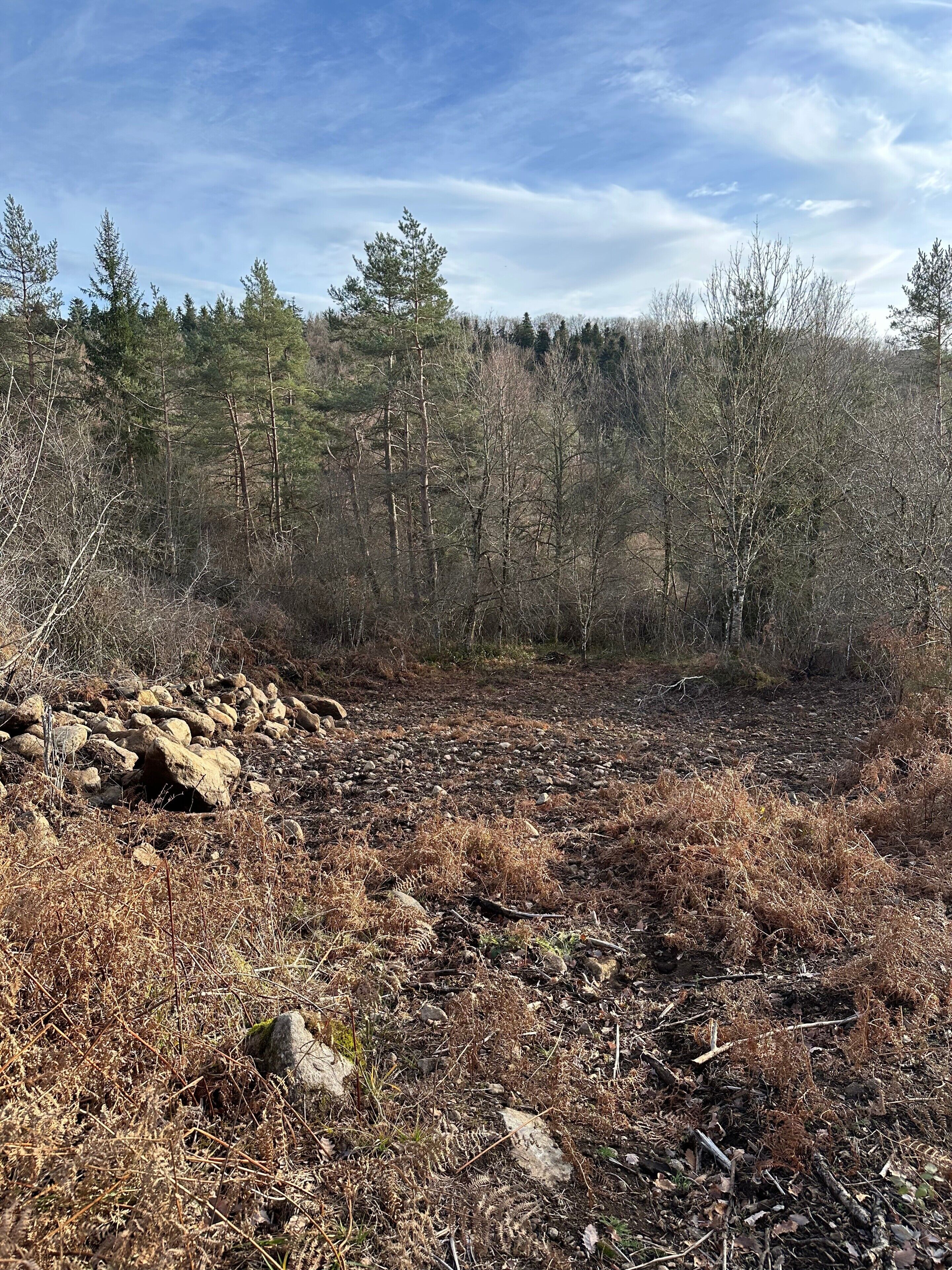 Un paysage naturel composé d’une forêt, d’un terrain rocheux et d’un ciel dégagé.