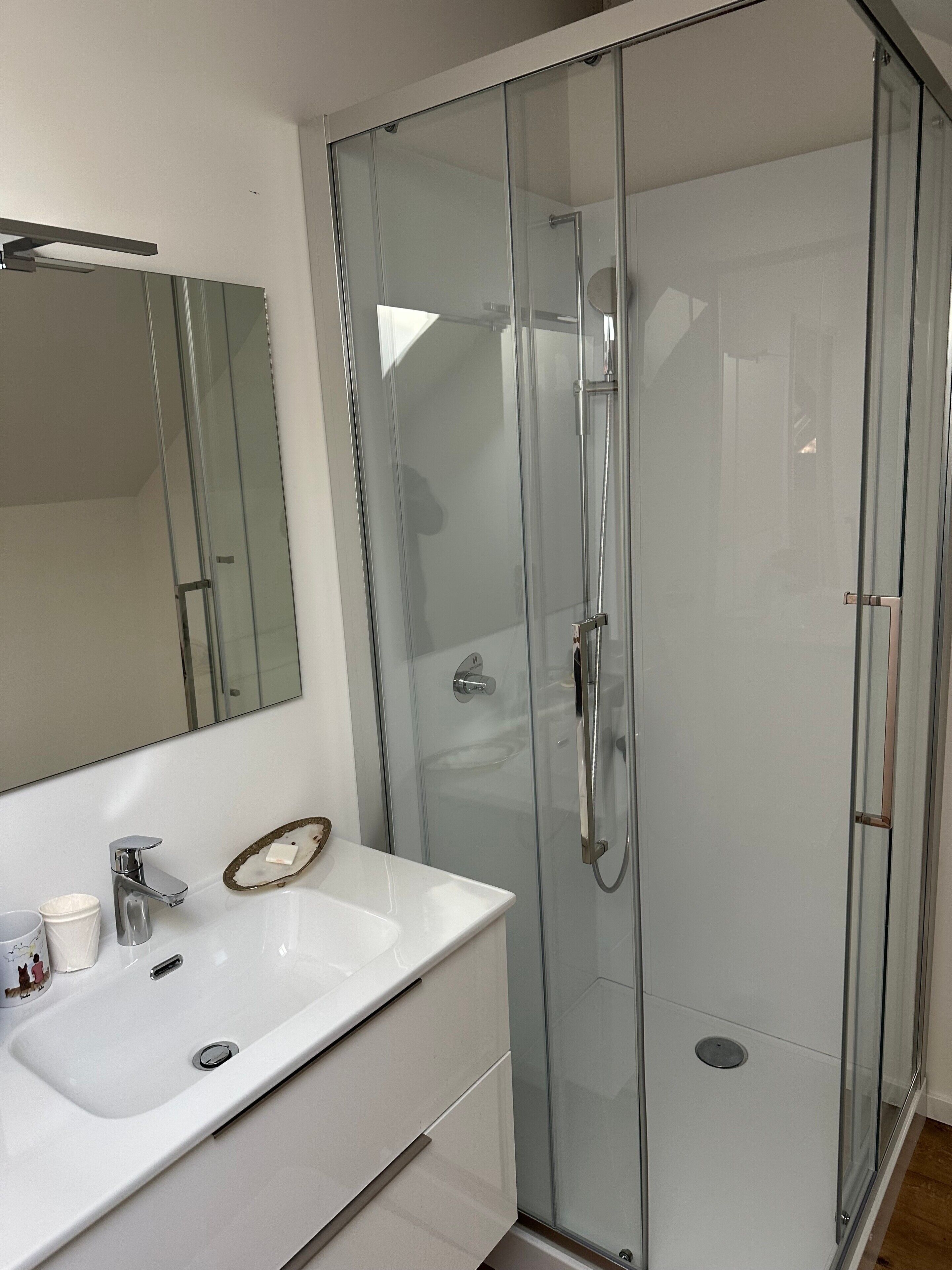A modern bathroom with a glass shower enclosure, a white sink, and a mirror.