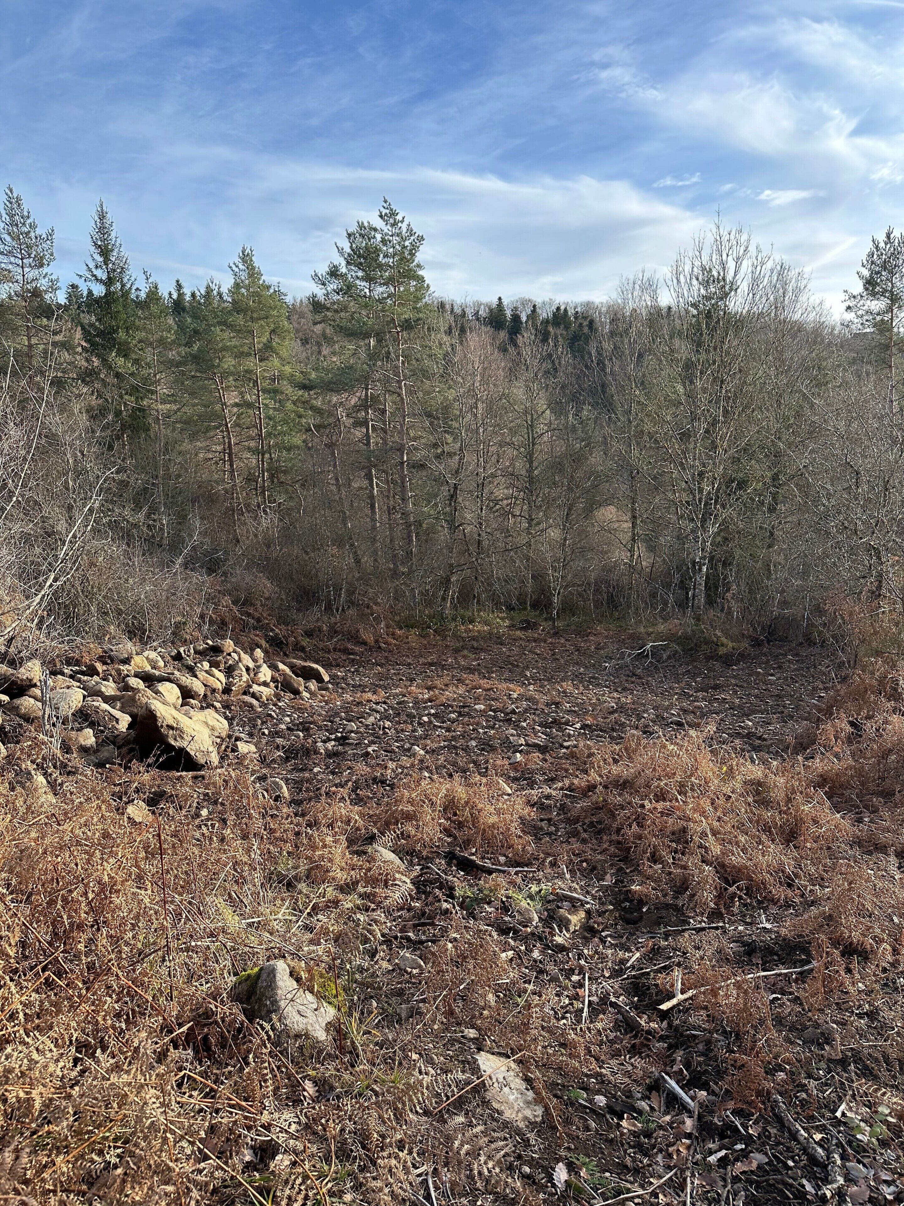 A natural landscape with a rocky terrain, sparse vegetation, and a forest in the background.
