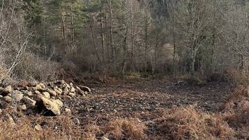 A natural landscape with a rocky terrain, sparse vegetation, and a forest in the background.