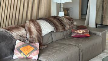 TV, caminetto, impianto stereo