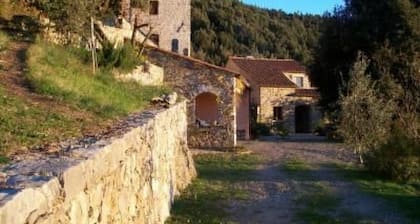 Scuola Vecchia by Interhome