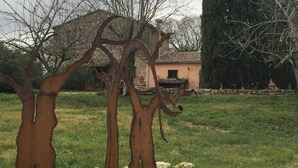 Detalle exterior