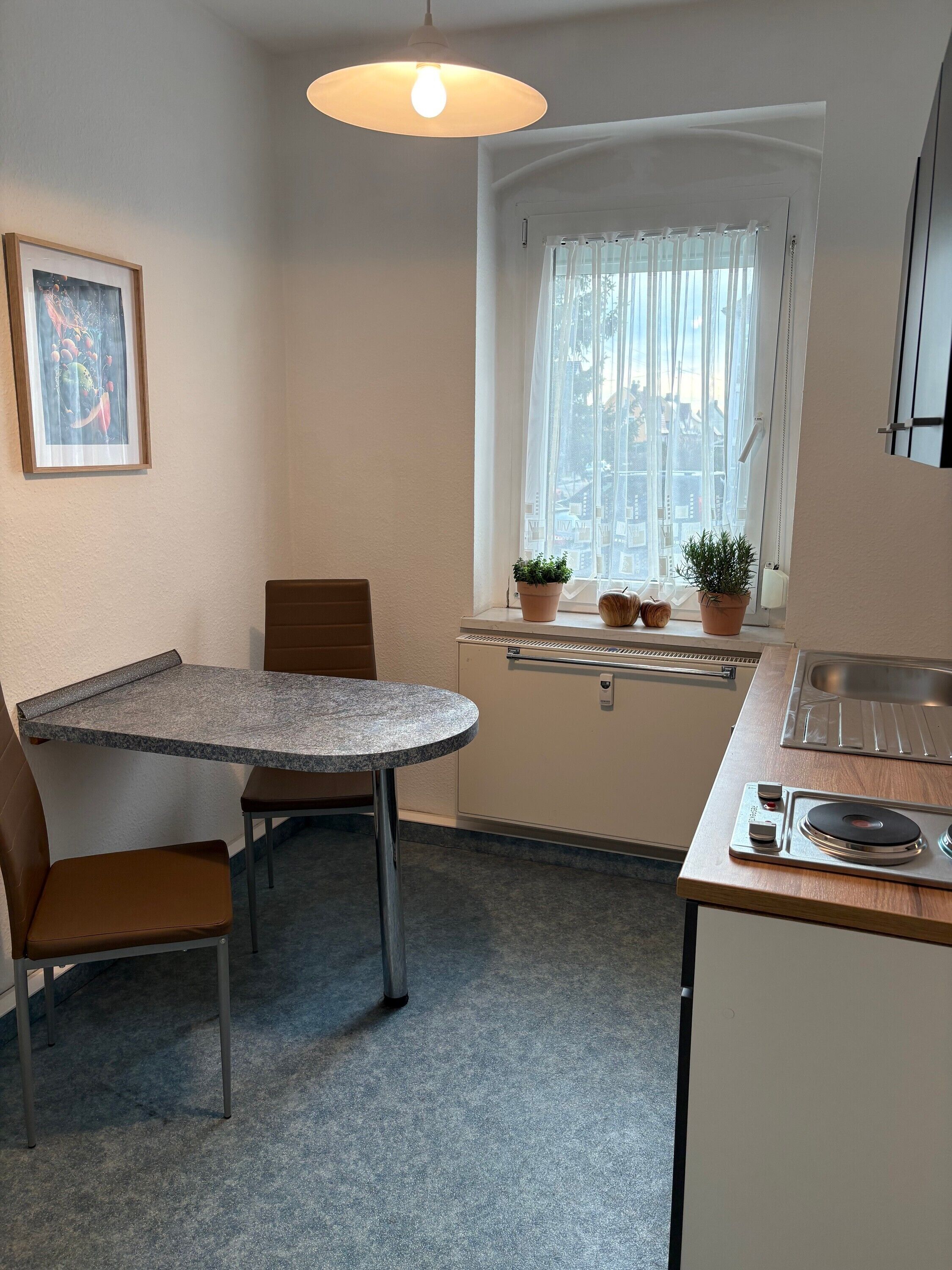 Kjøleskap, kokeplater, kaffetrakter/tekoker og vannkoker