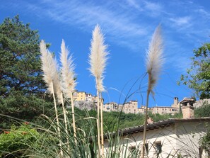 Exterior detail - Apartment MONTONE by Interhome (Montone)