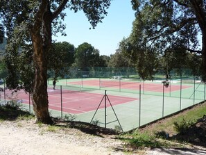 Campo esportivo
