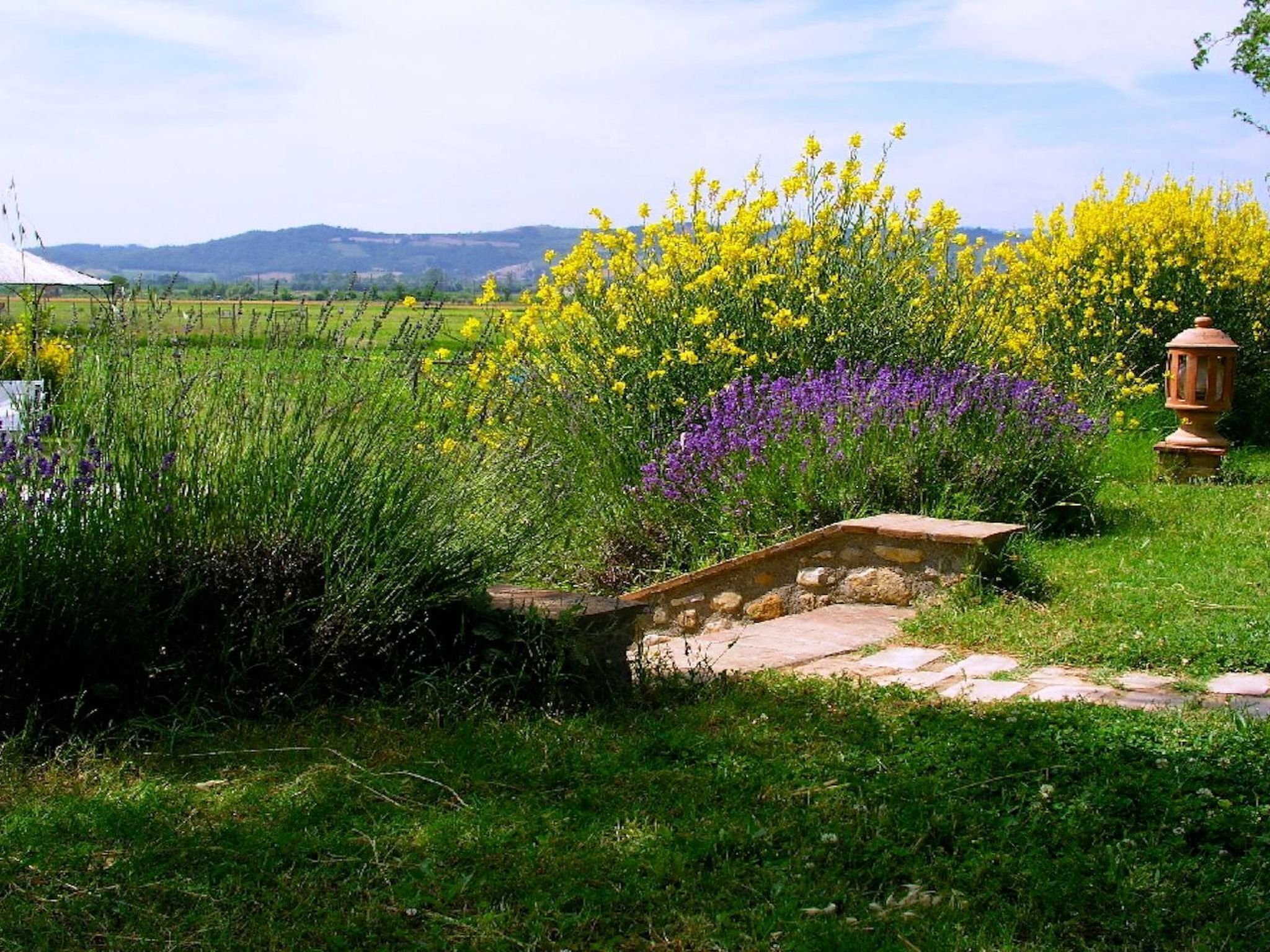 Parco della struttura