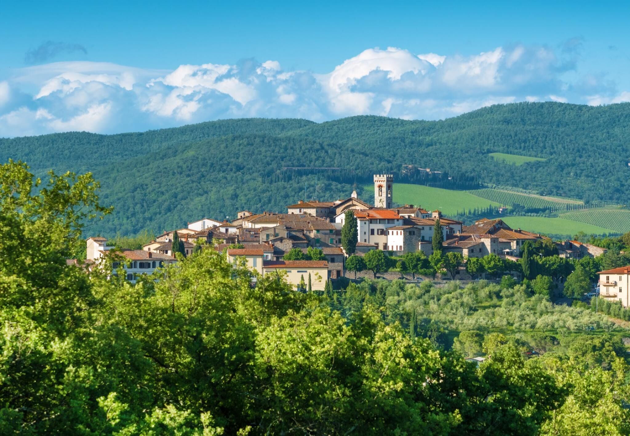 Un village doté d’une architecture traditionnelle, d’un imposant clocher et, en arrière-plan, de collines verdoyantes.