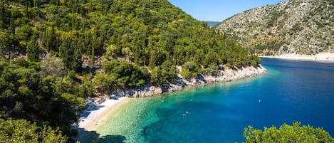 Ubicación cercana a la playa y tumbonas