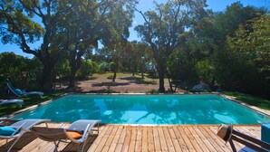 En swimmingpool med ett trädäck och solstolar, omgiven av träd.