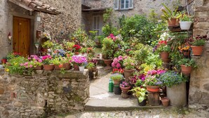 A narrow stone courtyard with a wooden door and a small staircase leading to a second level. - Villa Mille Desideri (Arezzo)