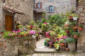 Property grounds - Villa Mille Desideri (Arezzo)