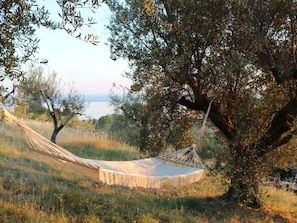 Property grounds - Renovierte Wohnung by Interhome (Passignano sul Trasimeno)