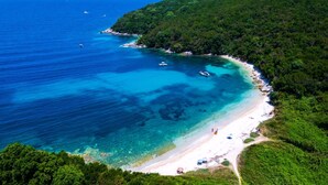 Vista aerea di una zona costiera con spiaggia, imbarcazioni e vegetazione lussureggiante.