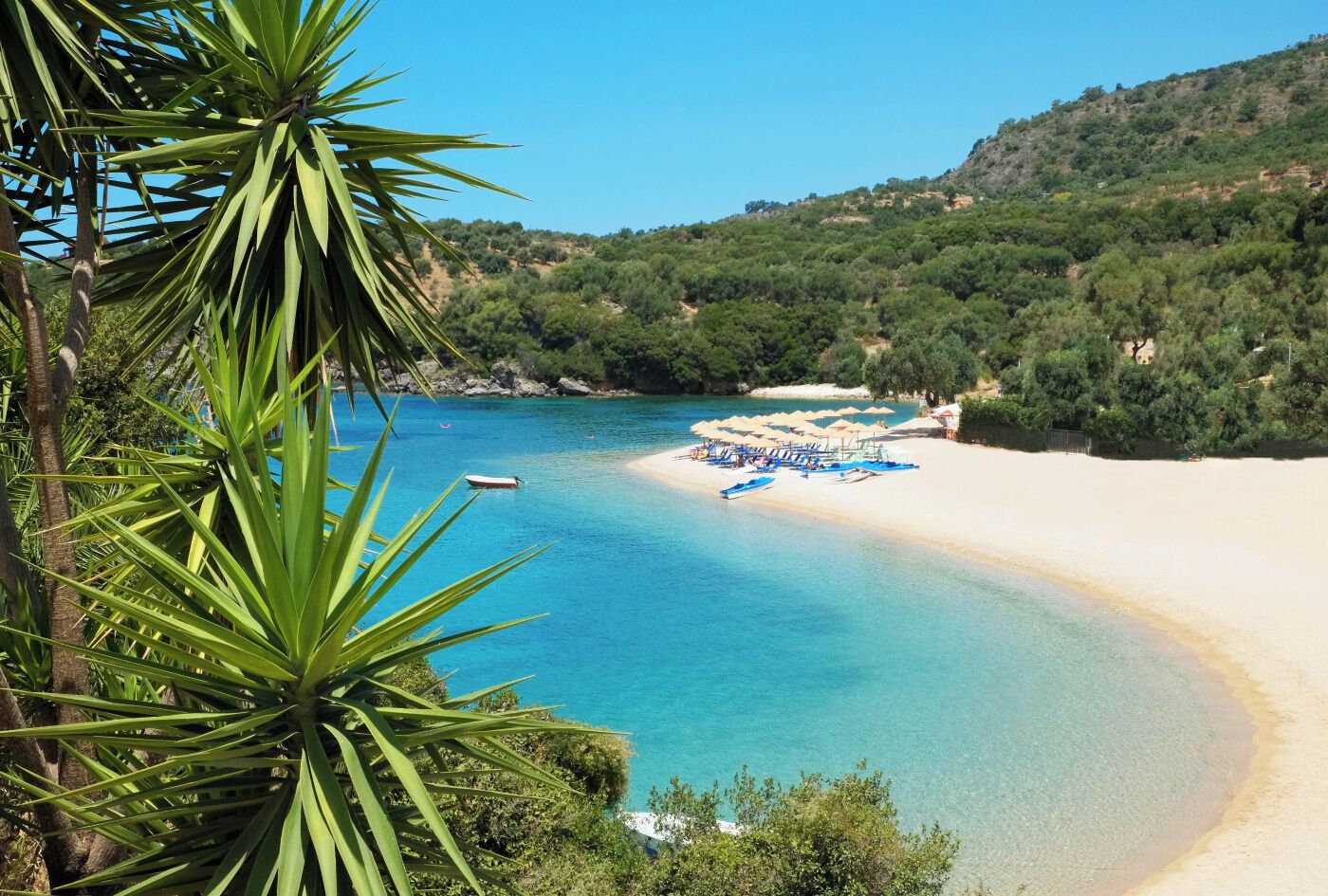 在海灘附近、躺椅