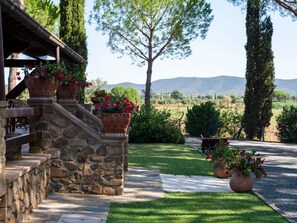 Property grounds - Wohnung für 2 Personen mit Veranda by Interhome (Castiglione della Pescaia)