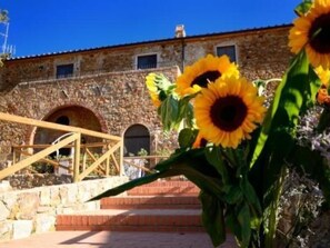 Property grounds - Superior Drei-Zimmer-Wohnung mit Garten und Pavillon by Interhome (Campiglia Marittima)