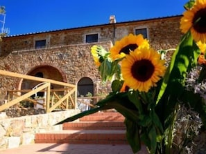 Property grounds - Apartment mit offenem Schlafboden und Garten by Interhome (Campiglia Marittima)