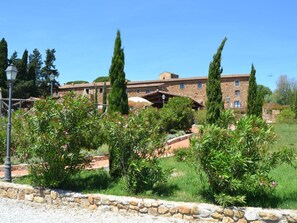 Property grounds - 'Zwei-Zimmer-Komfort by Interhome (Campiglia Marittima)