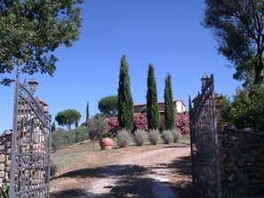 Property grounds - Romantisches Chalet in der Toskana by Interhome (Massa Marittima)