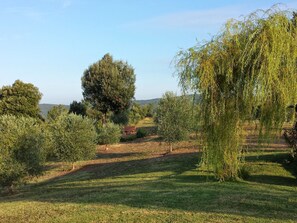 Property grounds - Anwesen mit Grill by Interhome (Massa Marittima)