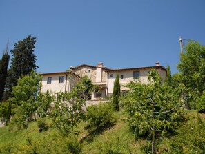 Esterni