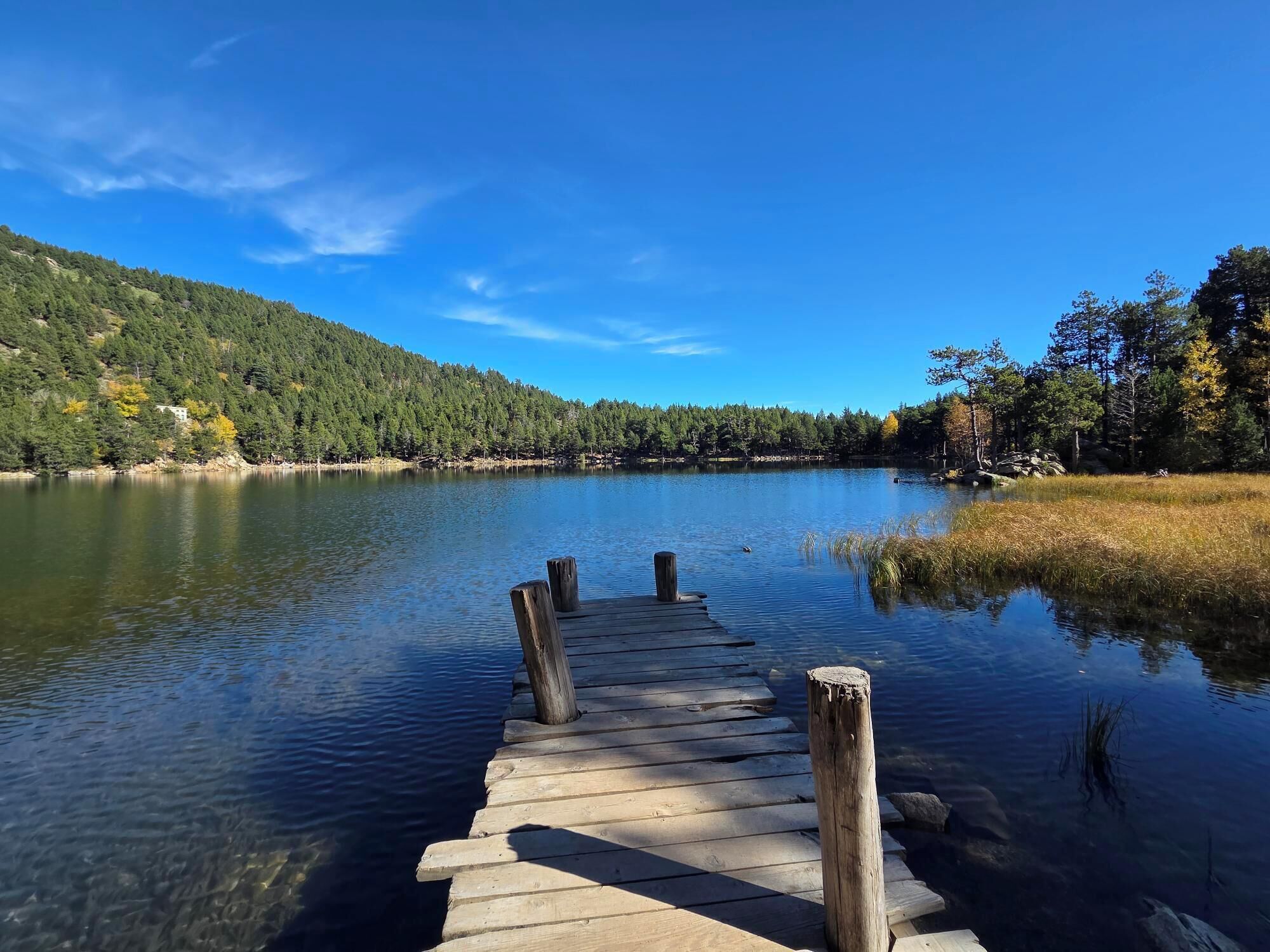 A wooden dock extending into a calm lake, surrounded by dense forest and a clear blue sky.