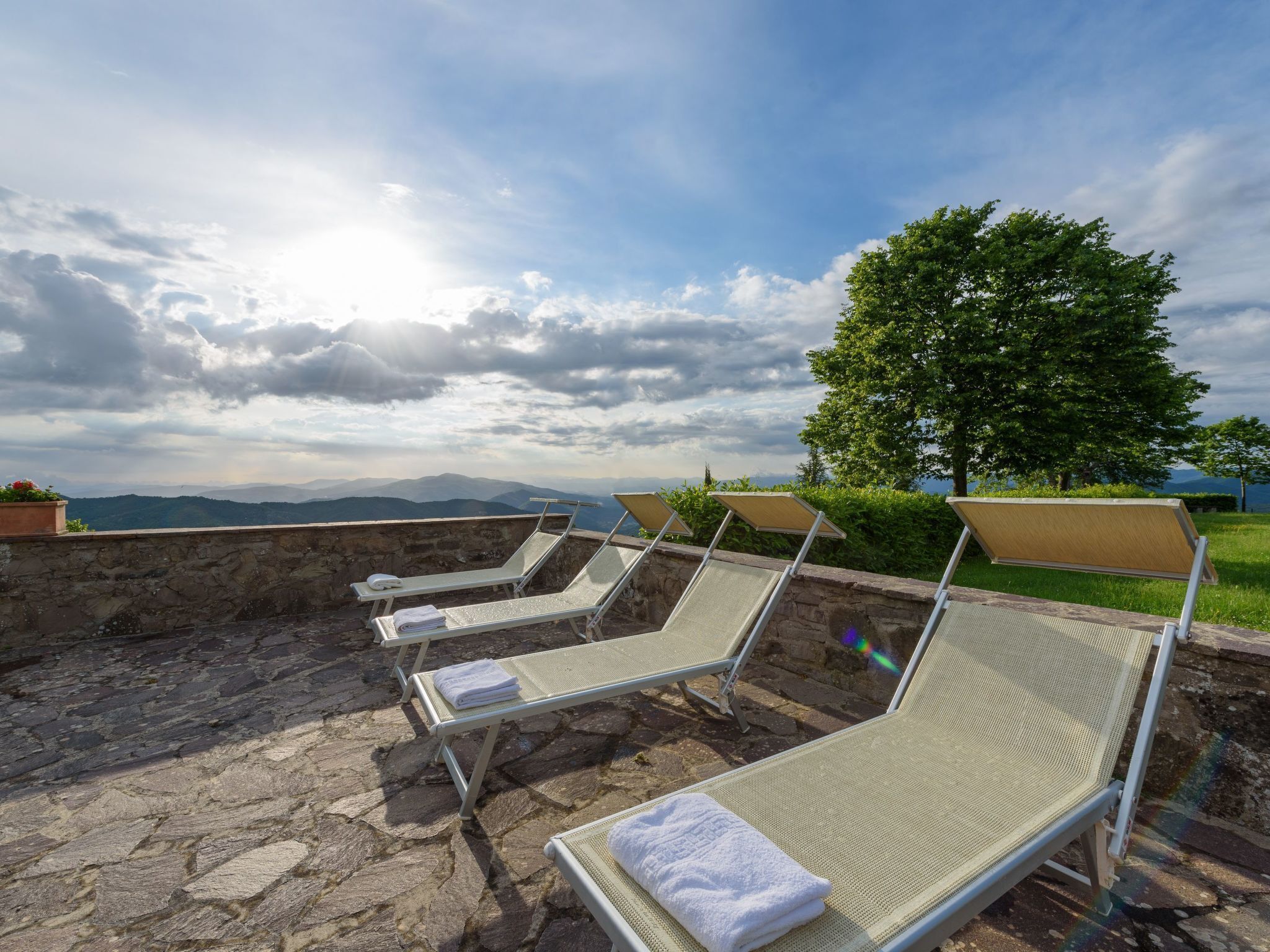 テラス / パティオ