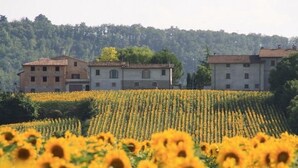 Exterior - Agriturismo Podere Casenove Wohnung Magnolia by Interhome (Citerna)