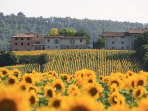 Exterior - Agriturismo Podere Casenove Wohnung Magnolia by Interhome (Citerna)