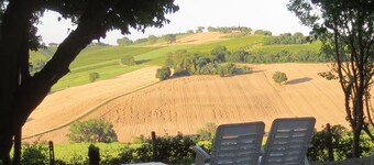 "Solebello Mulberry by Interhome