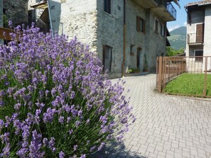 Property grounds - Kleine Perle im Livo-Tal by Interhome (Acquaseria)